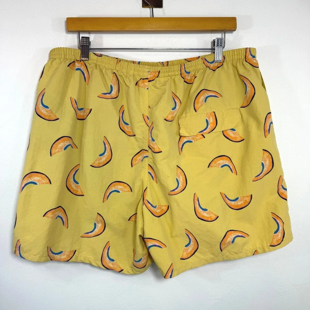 Patagonia baggies shorts